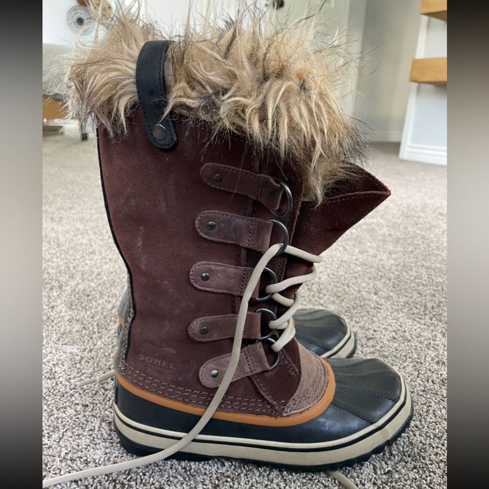 Sorel Joan of arctic